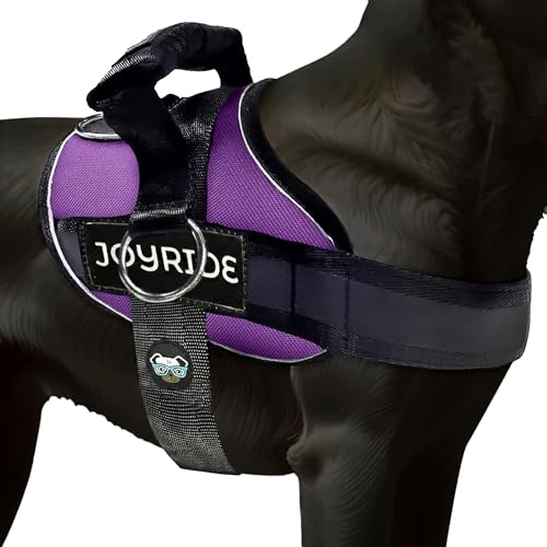 Joyride Harness 2.0 - The Original Side Ring No Pull Dog