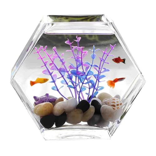 メダカ 水槽 金魚鉢 ガラス」の人気商品一覧 | 安い商品を通販サイト