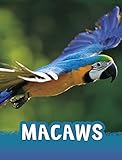 Raintree Macaws (Animals).