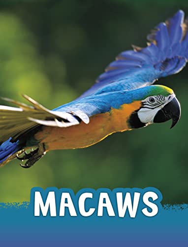 Raintree Macaws (Animals).