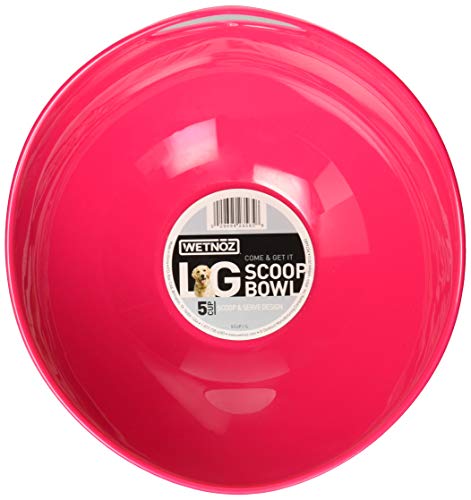 Petmate 23565 5-Cup Studio Scoop Dog Dish, Large, Hibiscus #TOP1