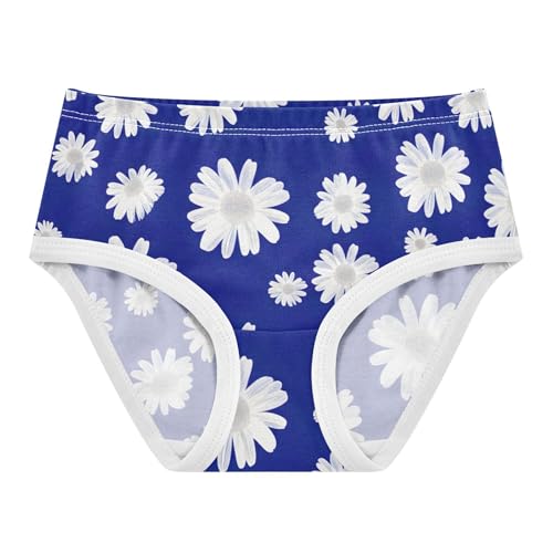 White Daisy Flowers Blue Little Girl Panties Toddlers Underwear Floral Cotton Fancy Briefs Underpants 2t