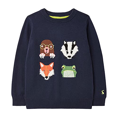 Joules Zany Boys Sweater