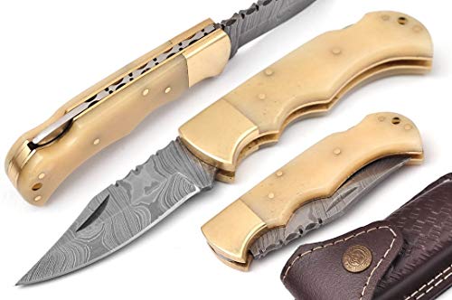 AishaTech Camper Back Lock Folding Pocket Knife Damascus Steel Blade with Sharpening Rod Premium Quality Bone Handle