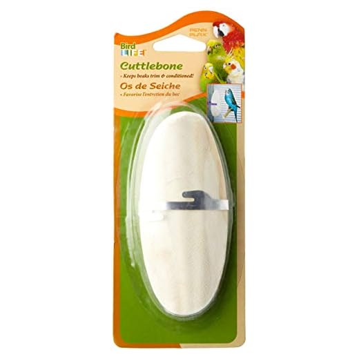 Penn-Plax Cuttlebone for Birds and Parakeets - Natural Cuddlefish Bones for Tortoise and Snails - with Holder - Medium