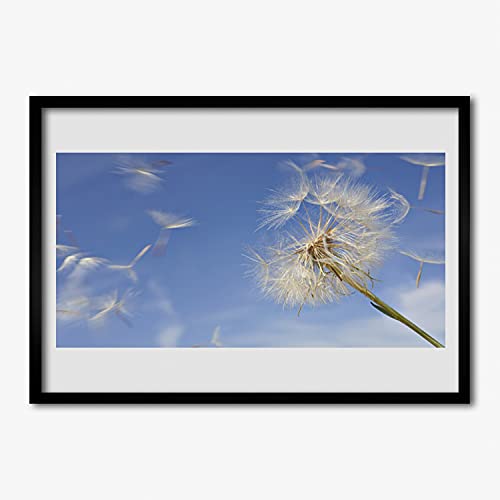 Cadre en MDF affiche encadrée 100x70 Tulup pissenlit design premium