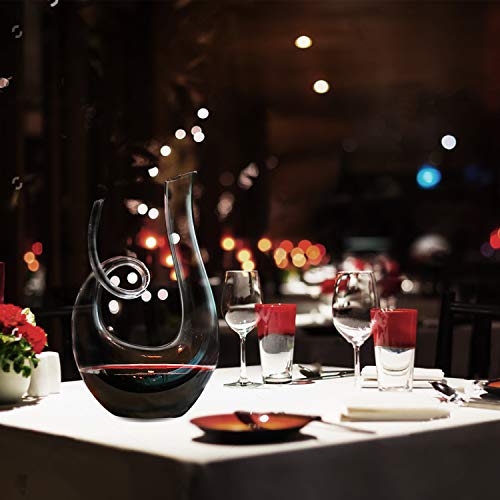 NUTRIUPS Swan Wine Decanter, Handblown, 1.2L Designed Horn Red Wine Decanter Set for 750ml, Lead-Free