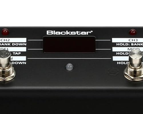 Blackstar FS-10 Multi-Function 3-Mode Foot Controller Bundle with Power Supply, Instrument Cable, and Austin Bazaar Polishing Cloth