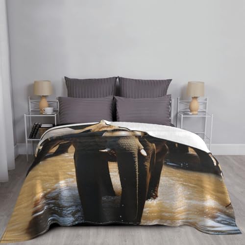 Couverture polaire en flanelle 203x152 cm jeté de lit motif éléphant