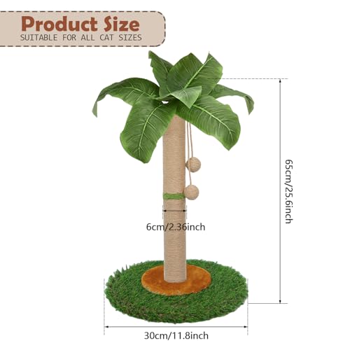 HOMYHANDS Kratzbaum für Katzen und Kätzchen im Innenbereich - 60 cm hoher Kratzbaum mit Sisalseil, Palmen-Kratzbaum mit hängendem Ball (60 cm)