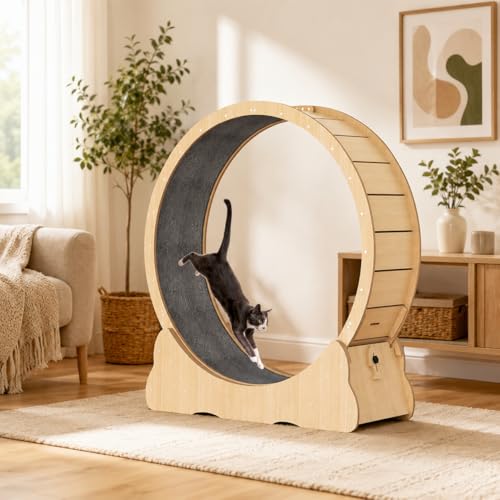 Cat Exercise Wheel for Indoor Cats 11-25 lbs, Quiet Cat Treadmill with Smooth…
