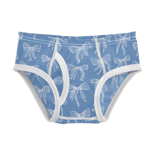 Wusikd Bows Ribbons Blue Boys' Underwear Cotton Boys Briefs Soft Toddler Underwear 2T