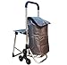 Produktbild 6in1 Einkaufstrolley Treppensteiger Einkaufsroller klappbare Einkaufswagen Faltbarer Einkaufsroller Kühltasche Stuhl Trolley Einkaufshilfe Einkaufskörbe & -Taschen (Silber)