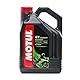 Motul 104056 5000 4T, 10 W-40, 4 L