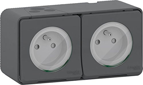 Schneider Electric MUR36028 Double Prise de courant 2 Pôle + Terre Horizontale mureva saillie, 250 V, Gris