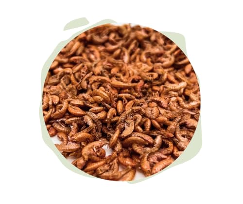 Warnick´s Tierfutterservice Naturhäppchen - Bachflohkrebse, Gammarus 1.000 ml - Naturfutter für Fische & Reptilien