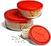 Bormioli Rocco Gelo 4pc Glass Storage Container/Food Storage Set with Red Lid (11.75 oz., 24.25 oz., 44.75 oz., 93.75 oz.)