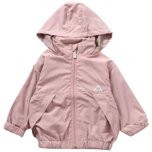 [ǂ] EChu[J[ LbY j̎q H WjA q t[h[ ʉ ʊw  ct ۈ牀 wZ  XYZ(sN 110cm)