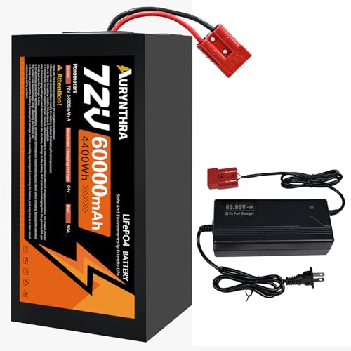 AURYNTHRA 72V 60Ah E-Bike LiFePO4 Battery,Max Power for 3500W Motors