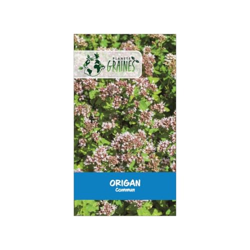 250 Graines d'Origan commun Origanum vulgare pour un jardin aromatique - Facile à cultiver