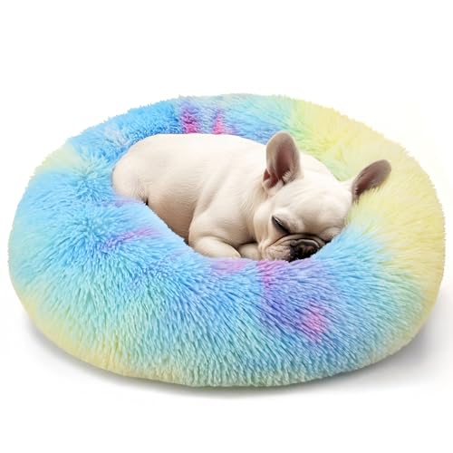 Hoewina 20-inch Cat Bed, Rainbow