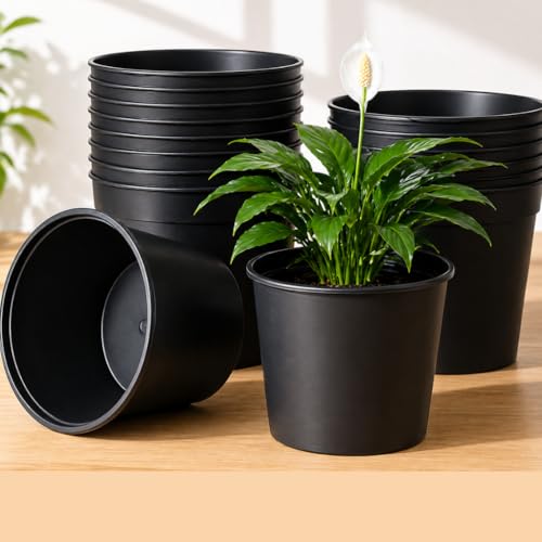 Image of Plastic Flower Pots 6 Inch | Black Nursery Plant Pots for Indoor & Outdoor Gardening | Lightweight, Durable Pots with Drainage for Seeds, Succulents & Saplings | Pack of 10