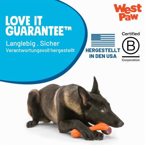 West Paw 27556 Hurley Large, aqua