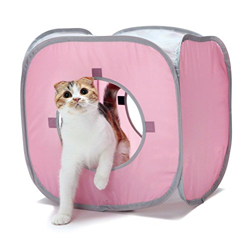 Cat1st Kitty Play Cube Sturdy The Best Cat Toy, Pastel Pink