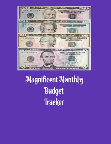 Magnificent Monthly Budget Tracker: Monthly Bill Payment Record Keeping Tracker Book image 2