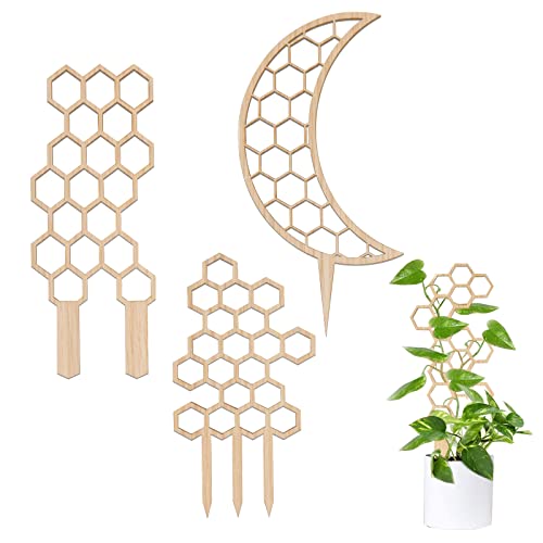 FWLWTWSS 3 unidades de ayuda para plantas trepadoras pequeñas de madera, soporte para plantas trepadoras para plantas en maceta, soporte de rejilla de panal de abeja para jardín