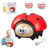 YISKY Marienkäfer Luftballon Spielzeug, Hängendes Marienkäfer Ballspielzeug, Elektrisch Schweben Ball Für Kinder, Marienkäfer Spielzeug, Marienkäfer Lernspielzeug Set, für Kindergarten Geschenk(B)