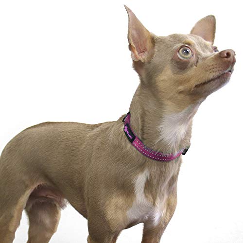 Image of Max and Neo NEO Nylon Buckle Reflective Dog Collar - We Donate a Collar to a Dog Rescue for Every Collar Sold (X-Small, Pink)