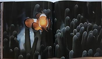 Hardcover Splendors of the Seas: The Photographs of Norbert Wu Book