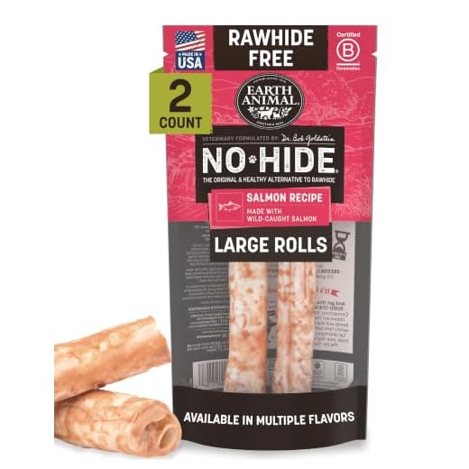 Earth Animal No Hide Chews - Long Lasting Rawhide Free Large Dog Chews Rolls, Salmon - 2 Count