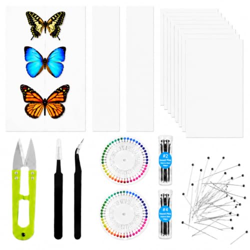 Insect Pinning Kit for Beginners