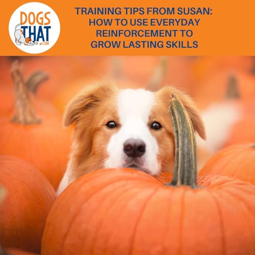 Page de couverture de Training Tips From Susan: How To Use Everyday Reinforcement To Grow Lasting Skills