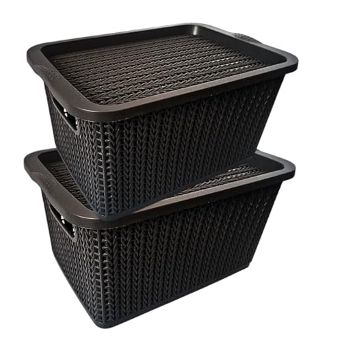 Lista de Cajas y arcones de almacenaje los 10 mejores. 48 Cesta Canasta — 2pzs | Caja Organizadora Plástico Rattan | Caja Multiuso para Ropa Juguetes Baño Cocina Closet Organizador Decorativo Almacenamiento Hogar | Diseño Tejido...