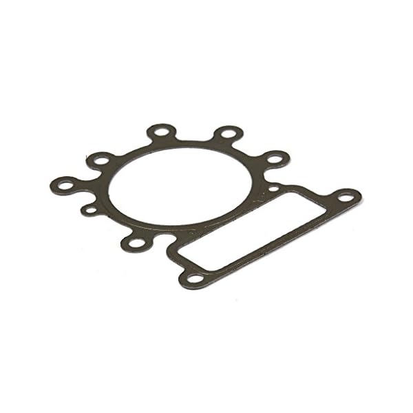 Briggs & Stratton Briggs and Stratton Zylinderkopfdichtung, Grau, 273280S