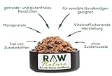 RAW Nature - Ente Pur 6x400g - Mit Hirse und Birne - Nassfutter für Hunde - Hoher Fleischanteil - Monoprotein - Alleinfuttermittel - Getreidefreies Hundefutter (6er Pack)