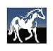 American Paint Horse Trailer Vinyl Window Decal Sticker