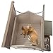 Zefvkip Outdoor fir Wood Dog House with an Open roof Ideal for Small to Medium Dogs. with Storage Box, Elevated Feeding Station with 2 Bowls. Weatherproof Asphalt roof and Treated Wood.