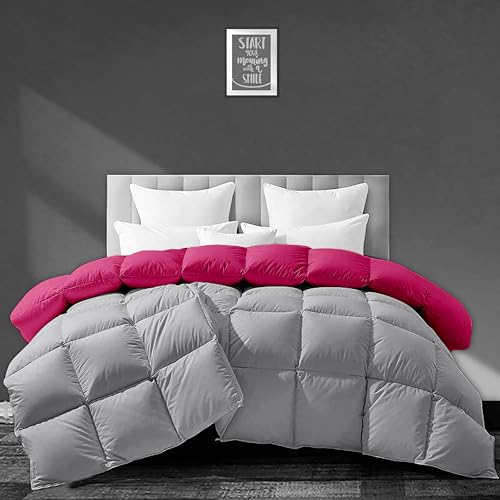 Image of Luxurious 500 GSM Winter Comforter Double Bed Size (90 inchX100 inch) - Premium Collection Heavy Winter Comforter 500 GSM Microfiber Fill - Duvet /Blanket Double Bed - Hot Pink /Silver Grey Color