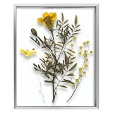 Frametory, Floating Picture Frame 11x14 - Silver Aluminum Metal Photo Frame - Real Glass of Front - for Wall Mount Displays