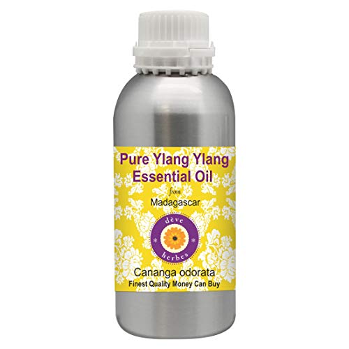 Huile essentielle d'ylang-ylang Cananga odorata distillée à la vapeur 1250ml
