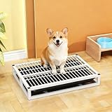 Indoor Dog Potty Toilet, Elevated Pee Pad Holder for All Breeds, Keeps Paws & Floors Clean, Ideal for Bedroom/Dorm, Rainy Days & Early Mornings/Late Nights (White,M: 24.4 x 17.7 x 3.2 inch)