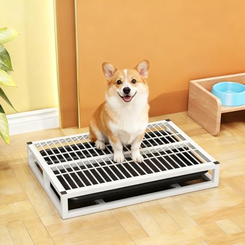Indoor Dog Potty Toilet, Elevated Pee Pad Holder for All Breeds, Keeps Paws & Floors Clean, Ideal for Bedroom/Dorm, Rainy Days & Early Mornings/Late Nights (White,M: 24.4 x 17.7 x 3.2 inch)