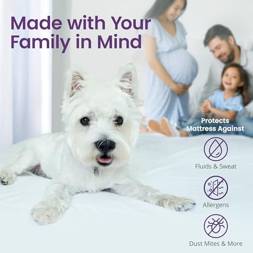 SafeRest CloudGuard - King Size Hybrid Mattress Protector & Pad (Extra Padded) - Waterproof Quilted Pillow Top Mattress Cover - Thick, Plush & Fitted Mattress Topper for Bed