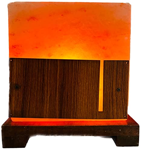 Generic SudoreWell® SW1002slfrshad01 - Lampada in cristallo di sale Shadow con base in legno della Salt Range Pakistan di Salzarena