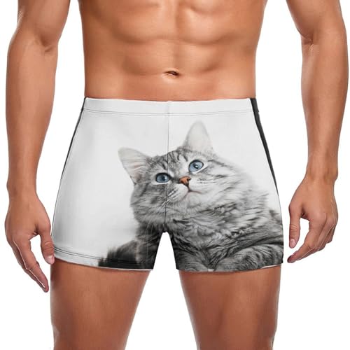 Maillot de bain pour homme motif chat mignon gris type boxer