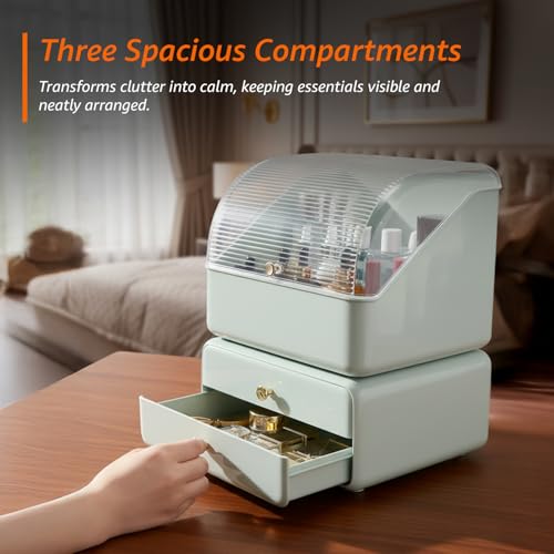 Image of Amazon Basics Glossy ABS+PET Cosmetic Storage Organizer | 26.6 x 18 x 35.4 cm | 2 Compartments | Waterproof & Dustproof Lid | Light Green